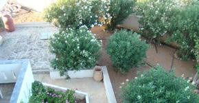 Villa_Petrino_Xerokampos_View_05