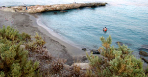 Farmakokefalo_East_Crete_3