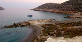 Farmakokefalo_East_Crete_4